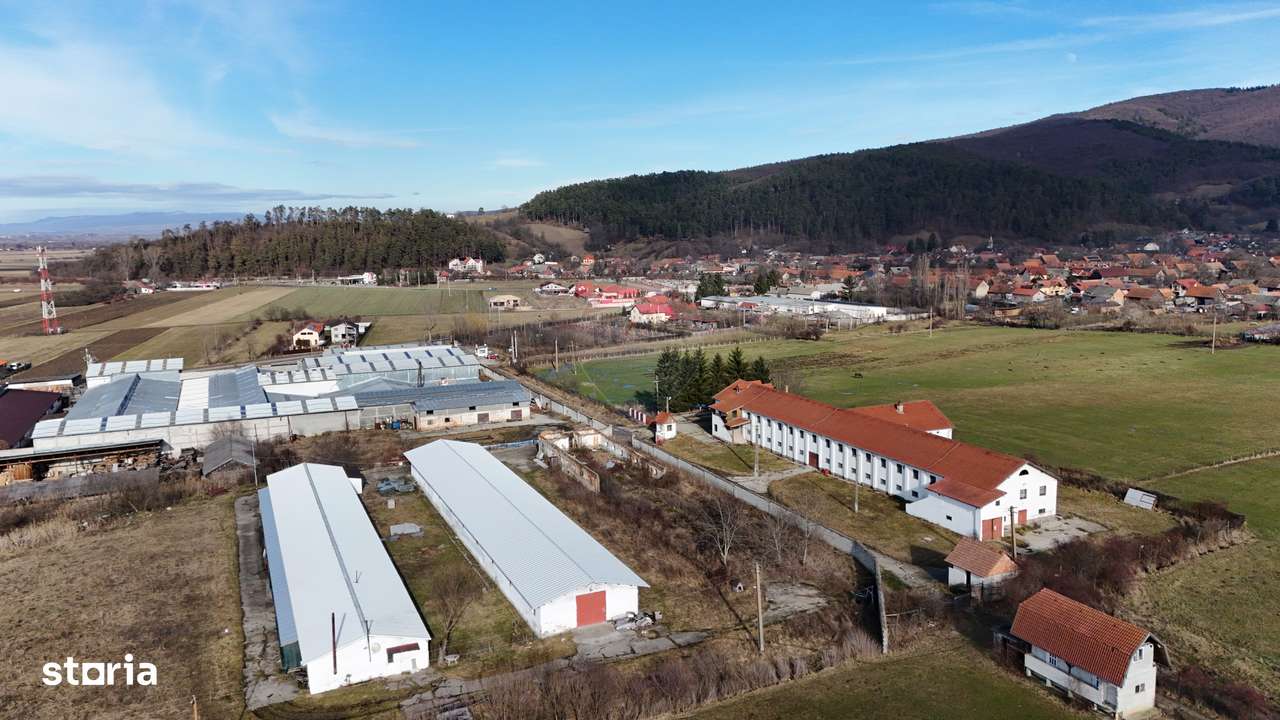 Teren industrial 1.729 mp I Demolare + construcție hală Teliu-4