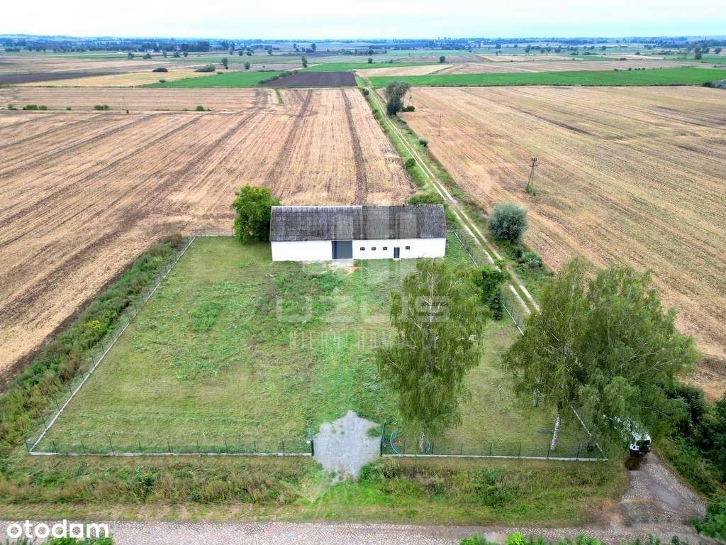 Budynek Magazynowo - Produkcyjny - Pełny obrazek: 5/13