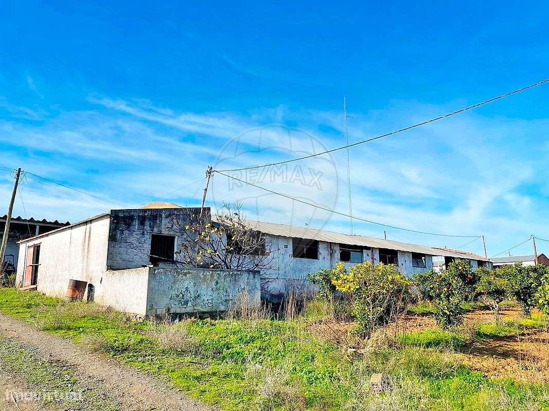 Quinta  para venda-28