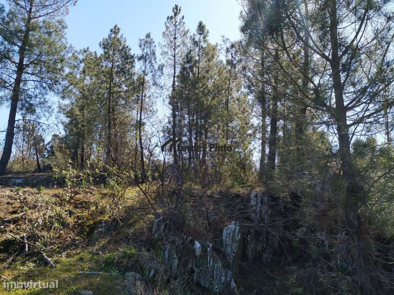 Terreno em Benquerenças - Grande imagem: 4/12