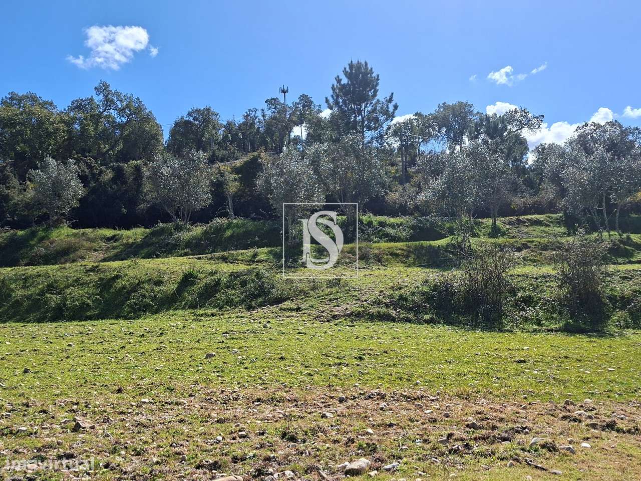 Quintinha no Alentejo com 4.000 m² junto à Ribeira – Excelente potenci - Grande imagem: 2/39