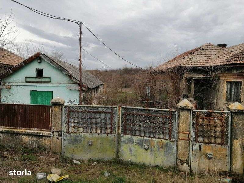 Vand casa in Lacrita Mare Dolj - Imagine principală: 4/5