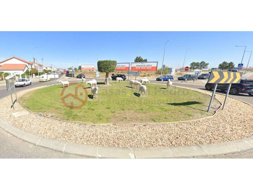 Moradia Térrea T4 com Piscina e Garagem - Grande imagem: 3/3