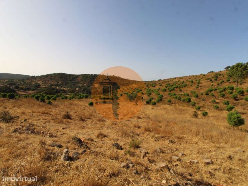 Terreno Misto - Grande imagem: 4/18