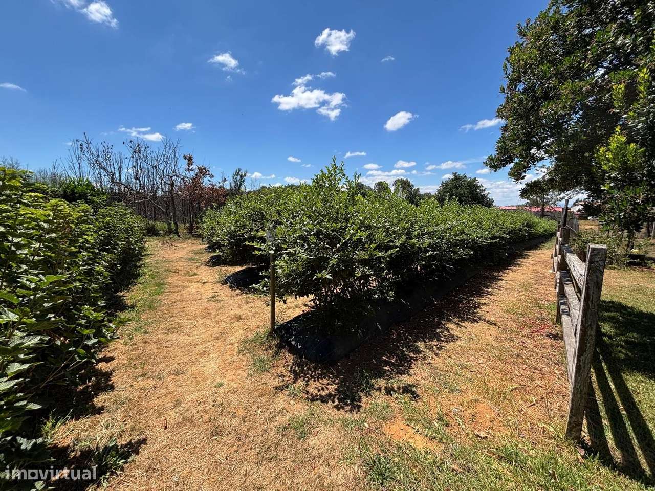 Quinta T4 Venda em Carragozela e Várzea de Meruge,Seia-20