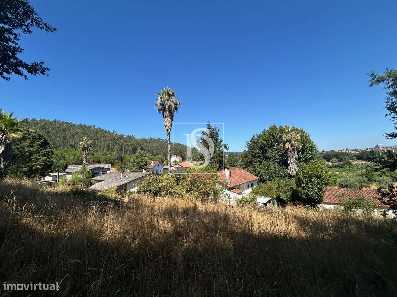 Quinta com 24.300m² em Vale de Açores, Mortágua-35