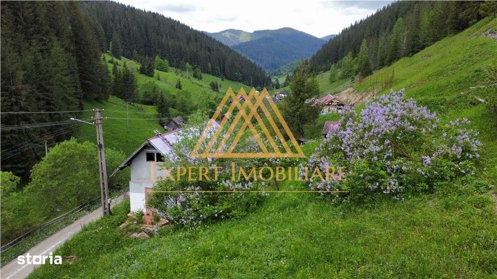 Teren cabana intr-un satuc din Bucovina cu toate utilitati - Imagine principală: 2/11