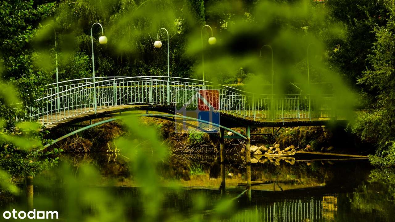 Działające gospodarstwo Agroturystyczne na Sprzedaż - Holendry-5