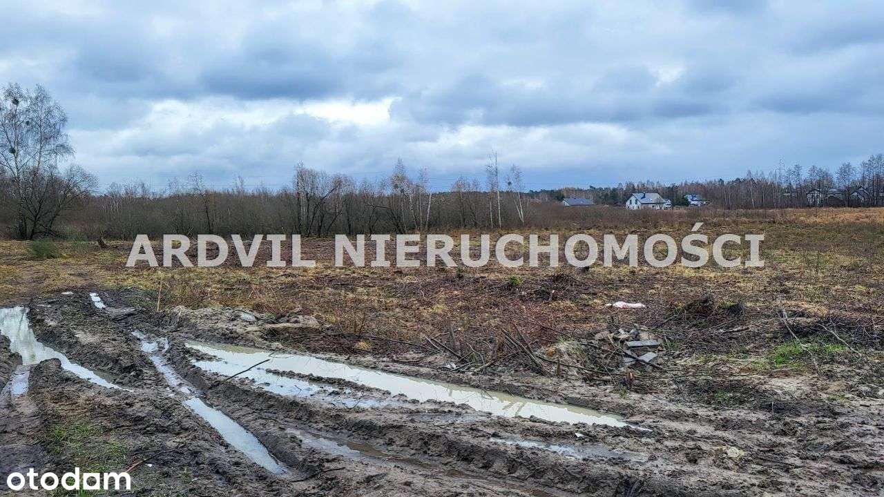 Uzbrojona Grabówka ładna-6