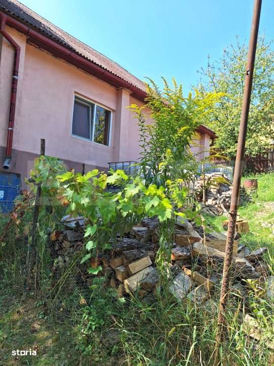 Casa 3 camere, 129mp, zona Viisoara , teren 1240mp - Imagine principală: 2/16