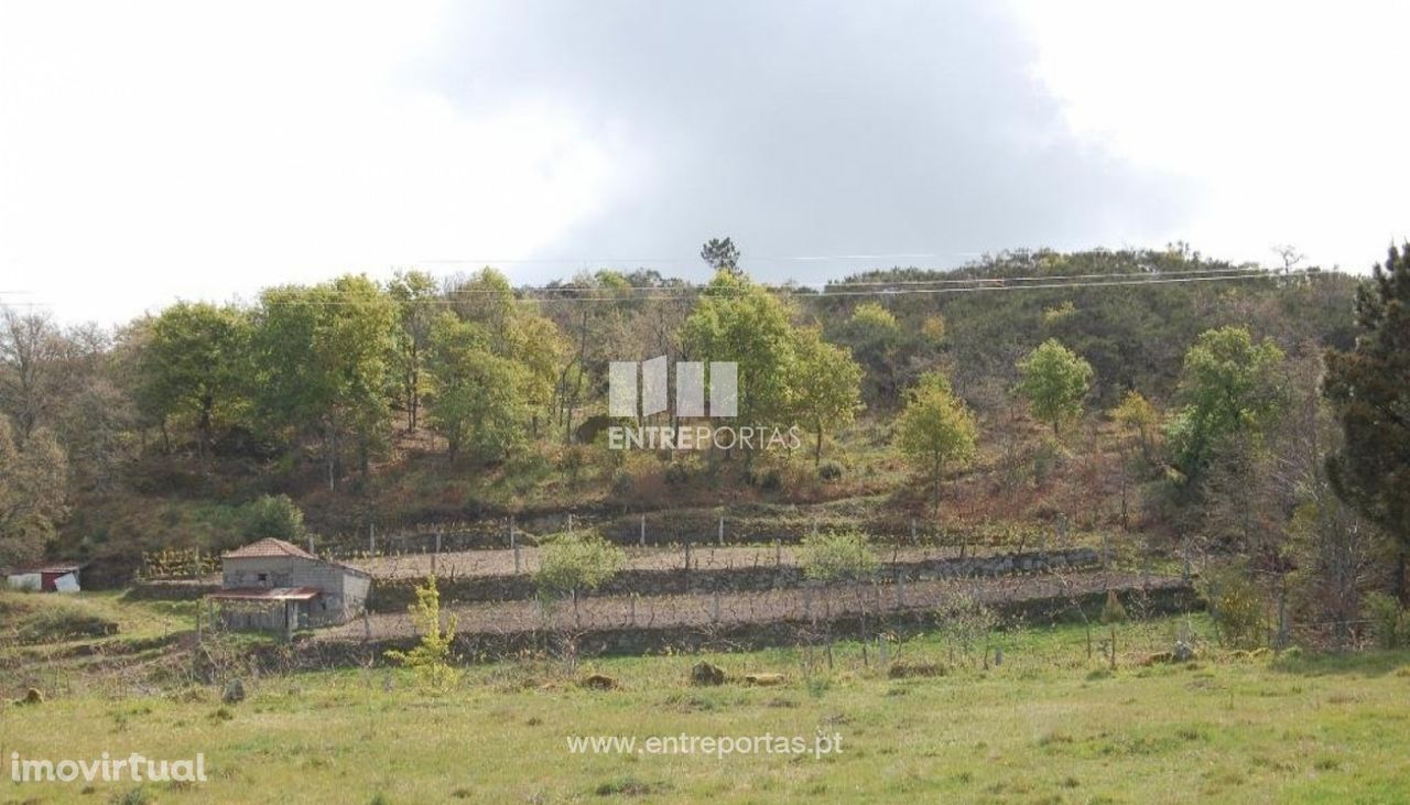 Venda Terreno, Carneiro, Amarante