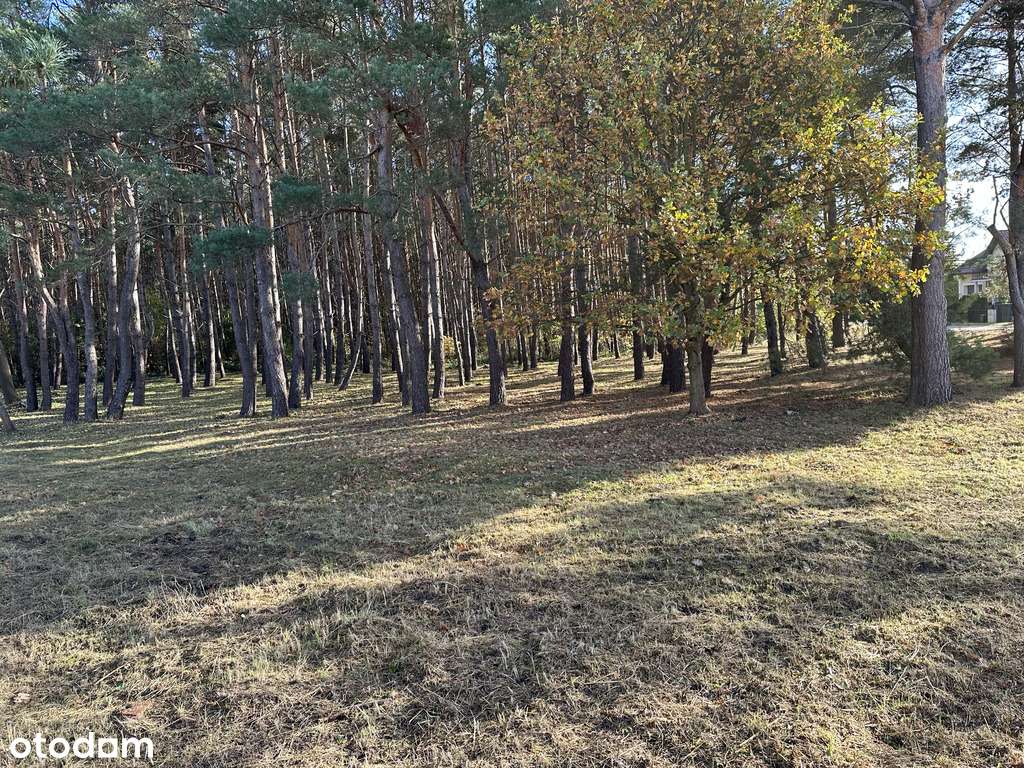 Szczecin / Mierzyn - działka z lasem-4