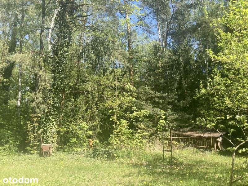 Atrakcyjna działka w Magdalence ul. Grójecka - Pełny obrazek: 4/6