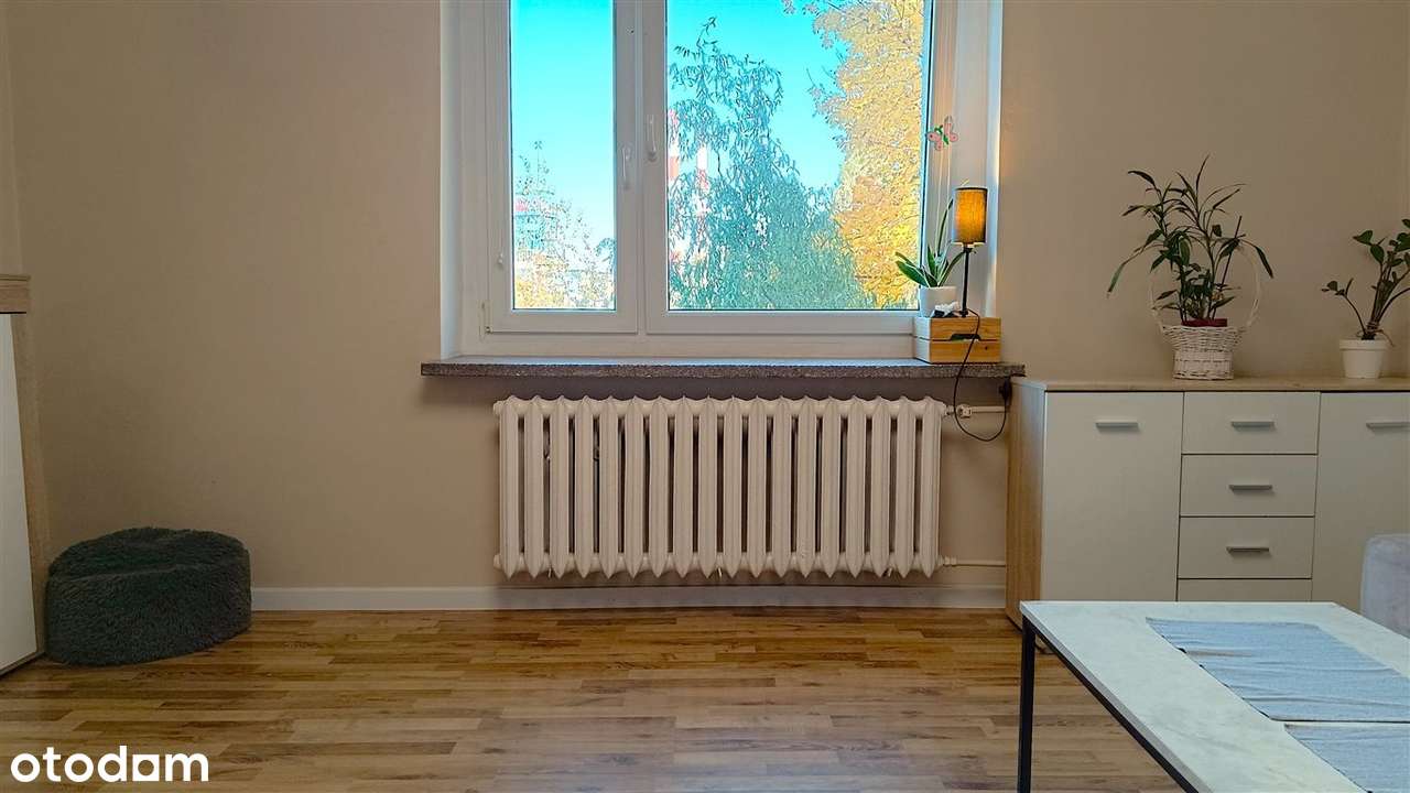 Duże dwupokojowe mieszkanie w ustronnym miejscu!-2