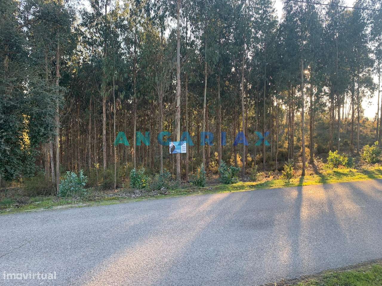 ANG109 - Terreno para Construção para Venda em Arrabal - Grande imagem: 2/19