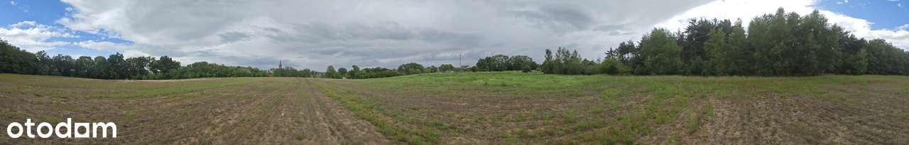 Sprzedam działkę 19900 m² w urokliwej okolicy - możliwość podziału - Pełny obrazek: 2/7