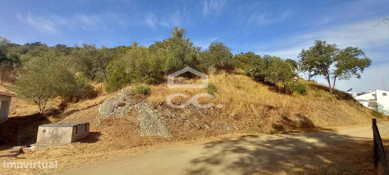 Magnifica Quinta com vista para o Rio Guadiana-21