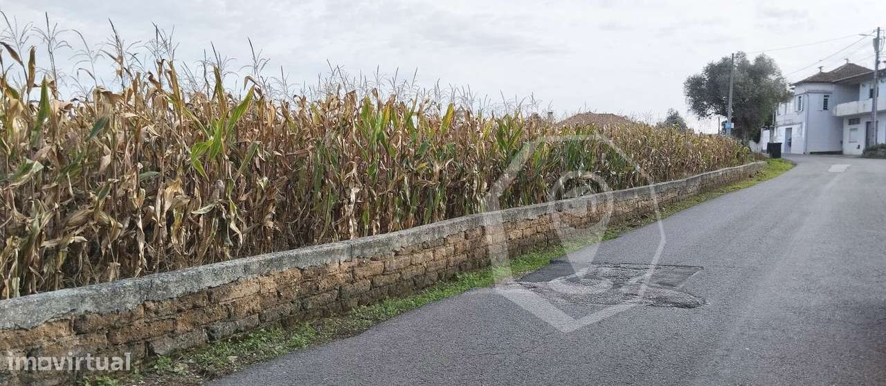 TERRENO PARA CONSTRUÇÃO MORADIAS - OLIVEIRA DO BAIRRO! - Grande imagem: 2/8