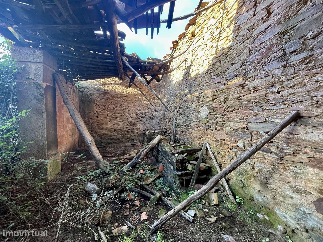 Herdade T5 Venda em Escalos de Baixo e Mata,Castelo Branco-14