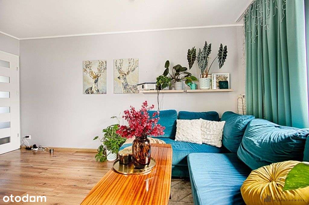 **Nowe Miasto** 2 oddzielne pokoje** cegła**2002 - Pełny obrazek: 2/16