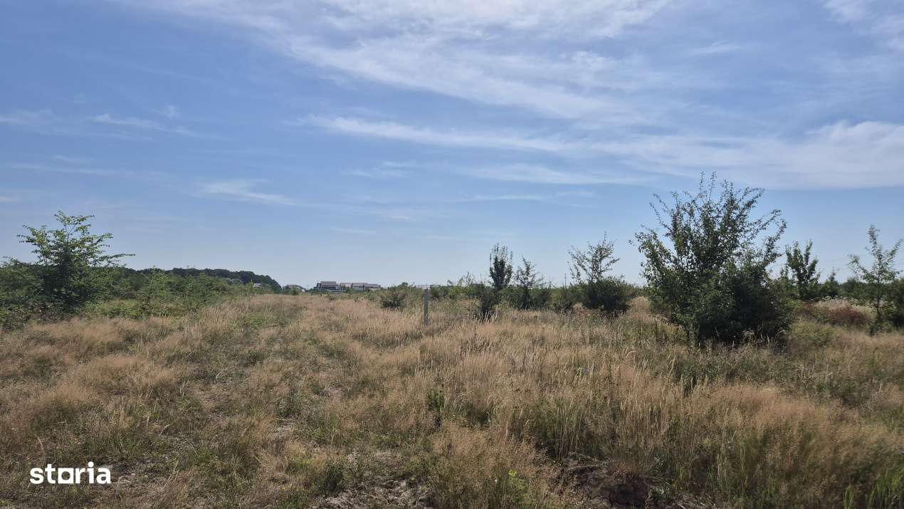 Teren intravilan de vanzare in Trivale - zona Magic | 500 mp - Imagine principală: 2/2