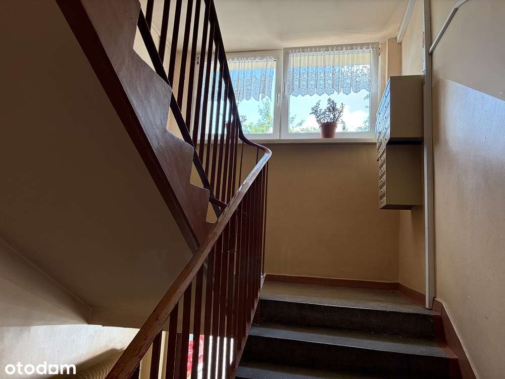 Mieszkanie położone bezpośrednio przy Parku Śląskim!!!!-6