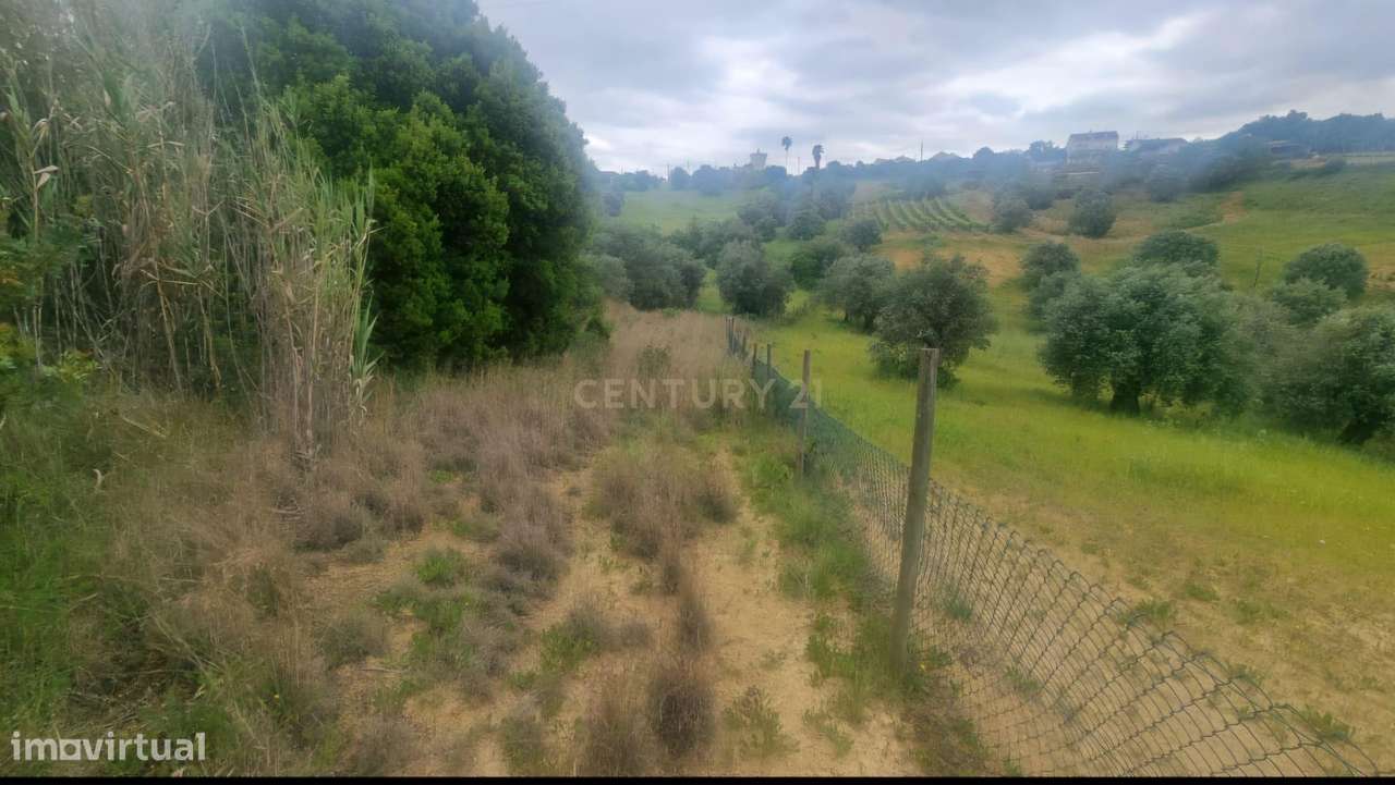 Terreno Urbano à Venda – Brogueira, Torres Novas - Grande imagem: 4/7