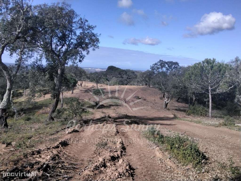 Terreno com projeto moradia Aprovado - Grande imagem: 4/38