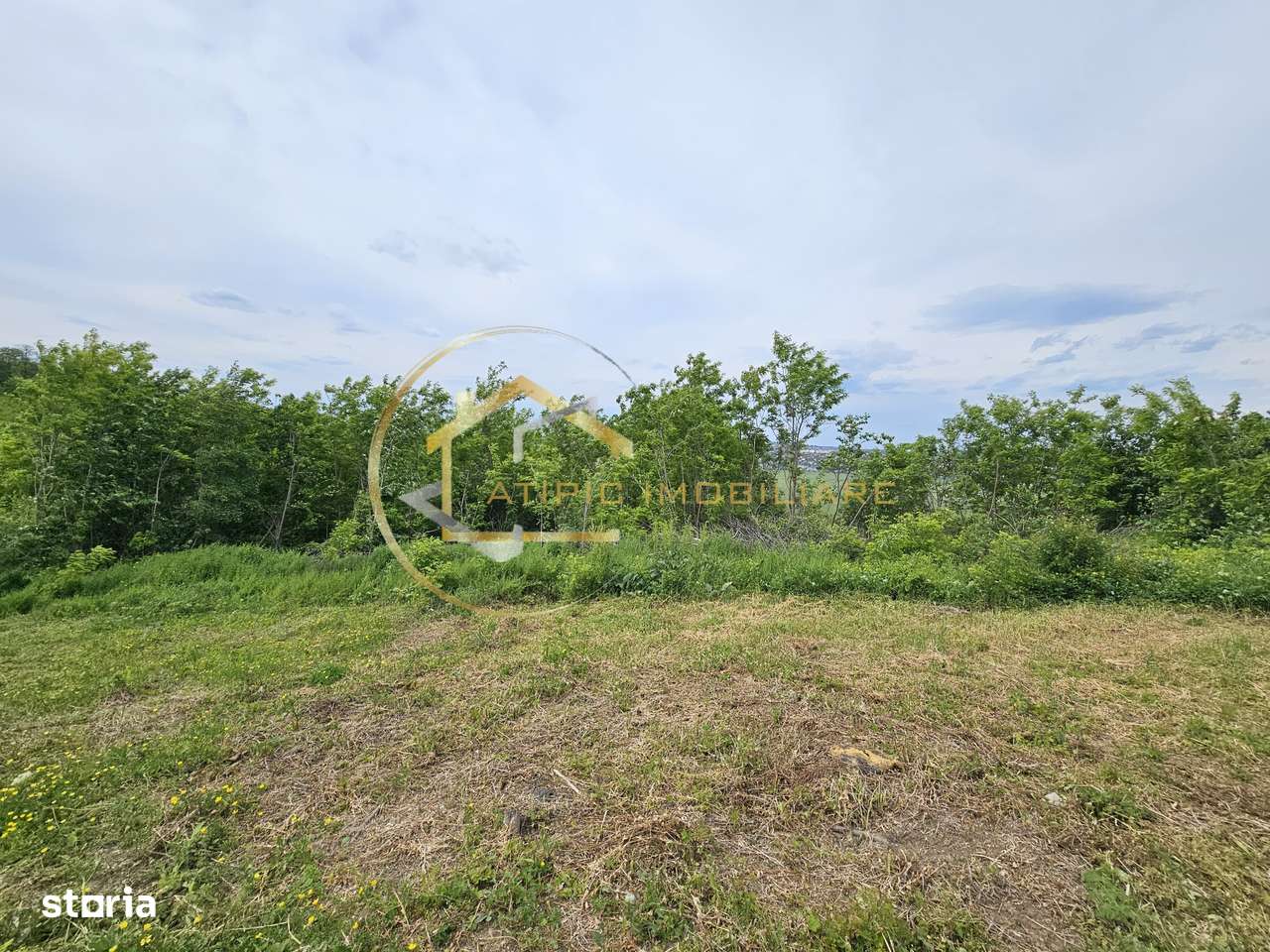 Teren intravilan 985 mp de vânzare in Miroslava - Imagine principală: 5/5