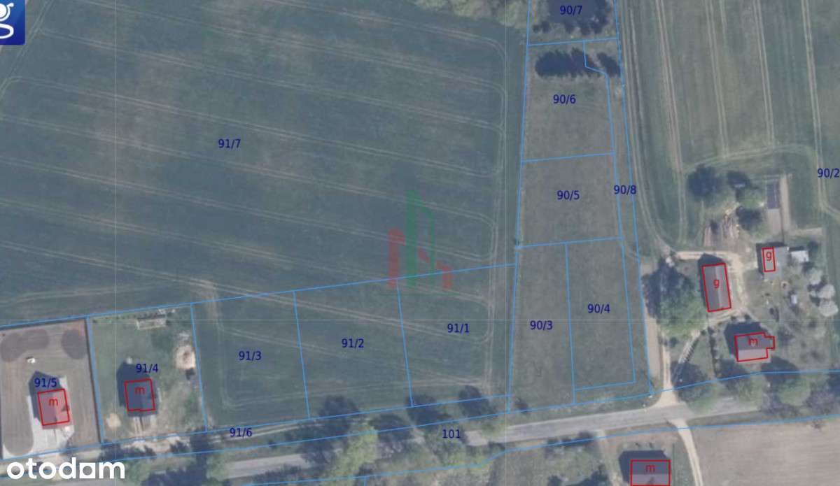 Działki budowlane- Czerniki gm. Stara Kiszewa - Pełny obrazek: 5/5