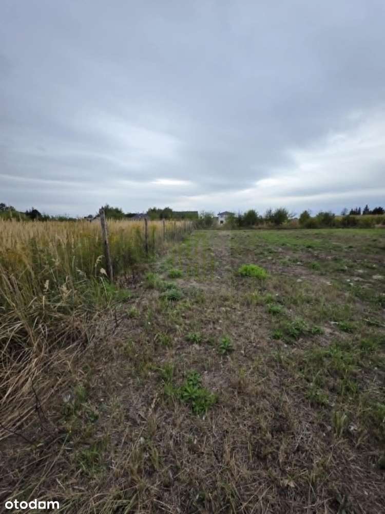 Okazja duża działka budowlana pod Błoniem