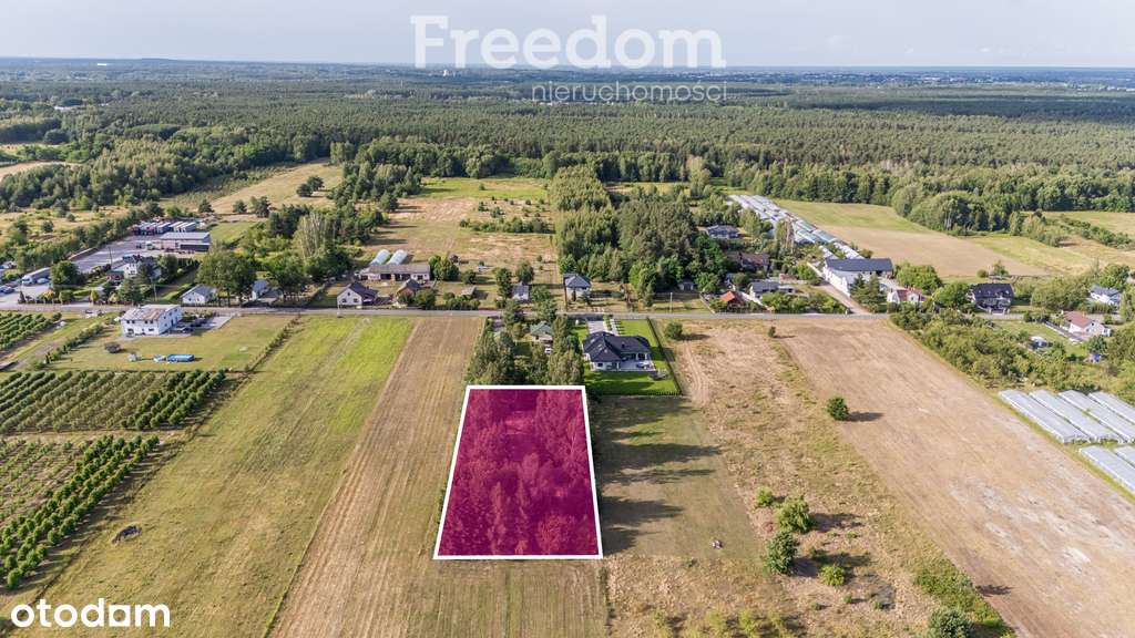 Działka 2500 m² – Buczynów, blisko Góra Kalwaria - Pełny obrazek: 3/10