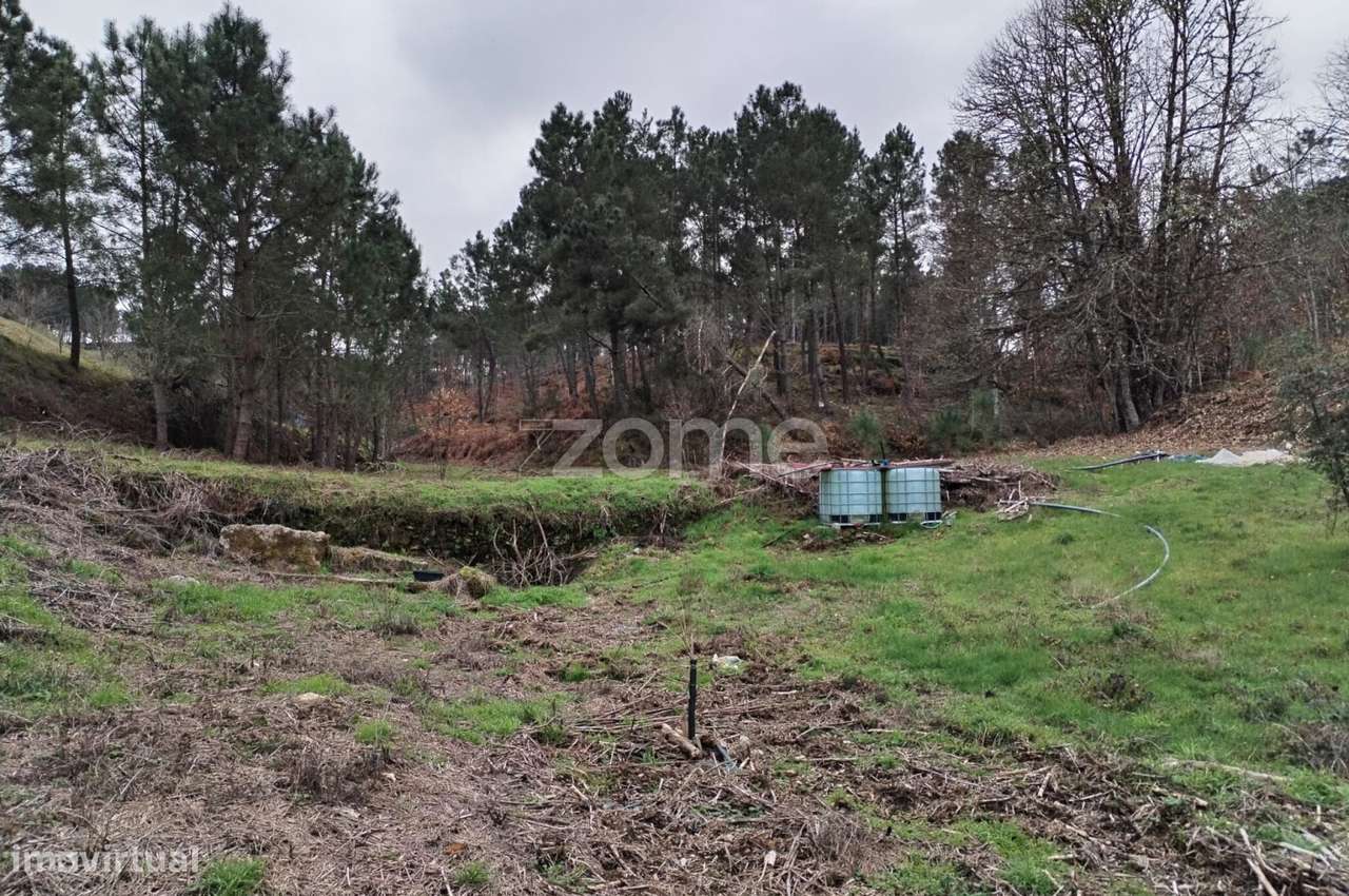 Terreno agricola e florestal.-7