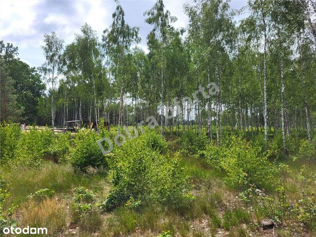 Nowa oferta - dobra cena - miejsce na wypoczynek-11