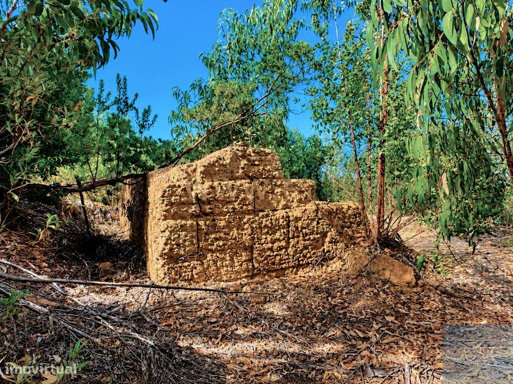 Terreno em São Teotónio, Odemira-4