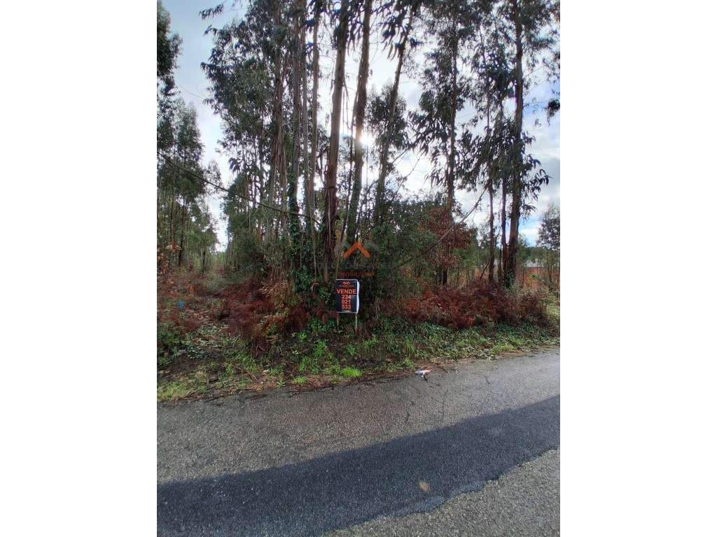 Terreno Urbano | 630m2 | Sangalhos - Grande imagem: 4/5