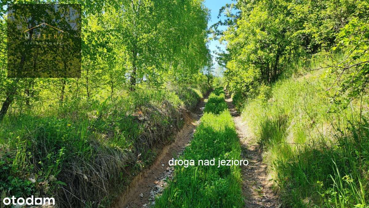 Działka Z Warunkami Zabudowy 2.5Ha  Linią Brzegową-5