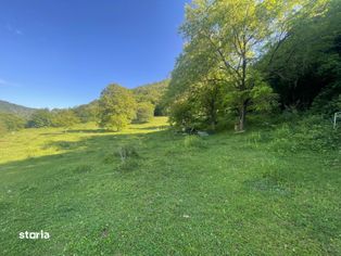 Casa si teren 10.000 mp la Grosi