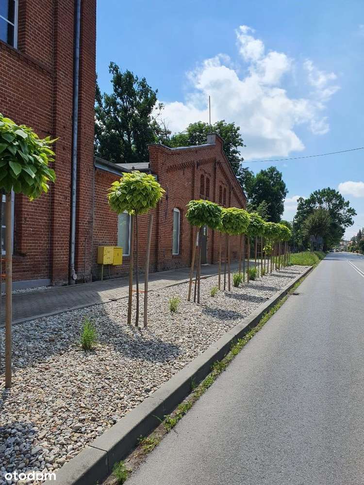 Hala magazynowa produkcyjna 3 identyczne hale 800m - Pełny obrazek: 2/20