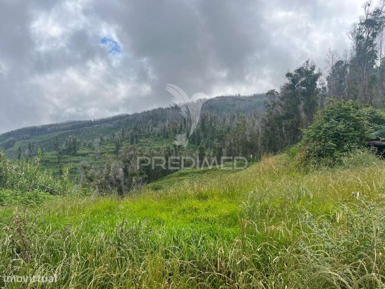 TERRENO COM 6.620 M2 NA PONTA DO PARGO - Grande imagem: 4/7