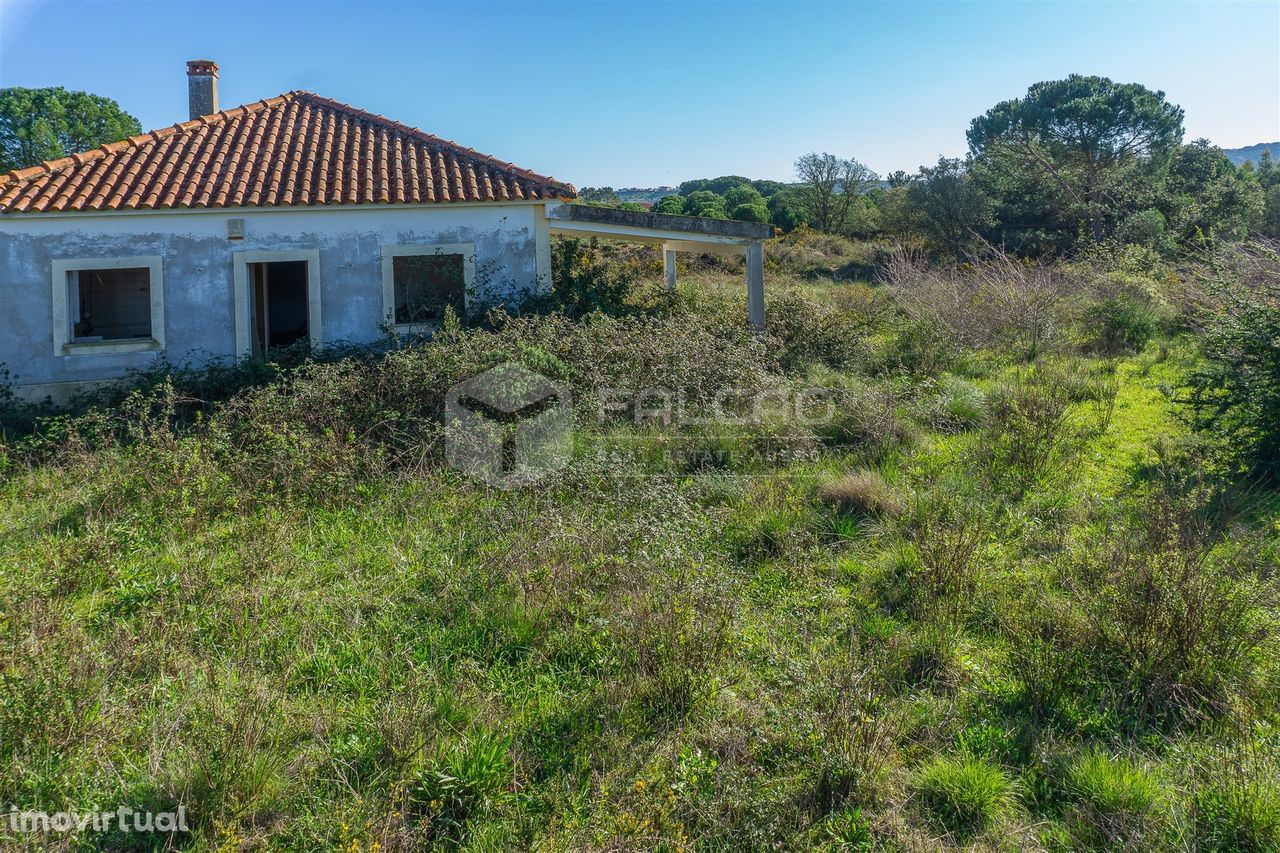 Moradia para Restaurar T2 Venda em Marmeleira e Assentiz,Rio Maior