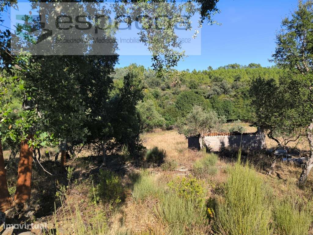 Quinta do Valouro - Sobral do Campo - Grande imagem: 1/10