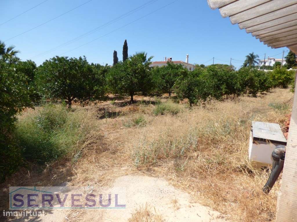 Lote de terreno com 3150 m2, em zona urbana e com um Armazém para r... - Grande imagem: 5/19