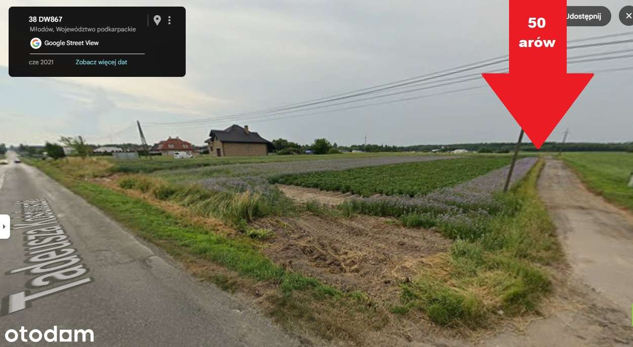 Działka 49 arów dojazd z ul. Kościuszki i Technicznej - OKAZJA - Pełny obrazek: 2/4