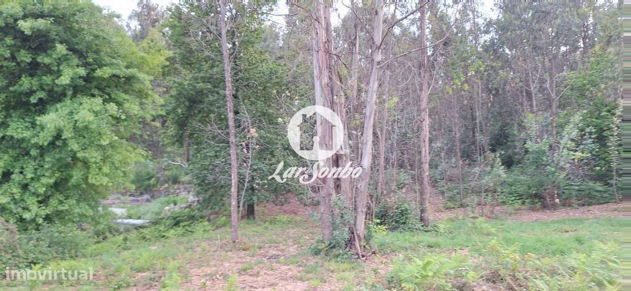 Terreno para moradia em Barcelos - Grande imagem: 2/25