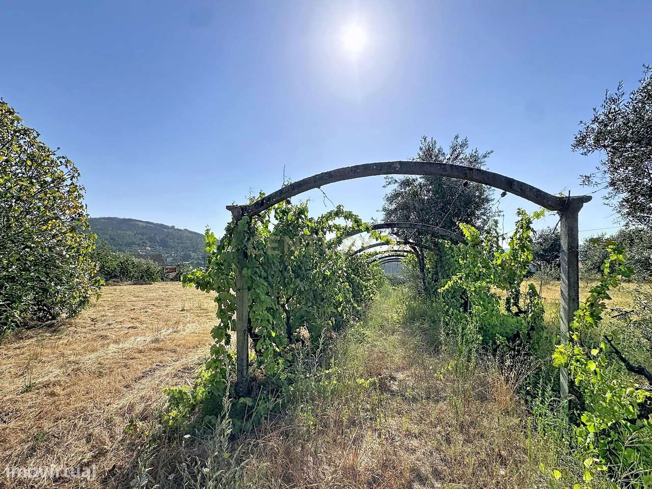 Moradia Térrea com Vista Panorâmica e 4.500 m² de Terreno | Vila Cova,-54