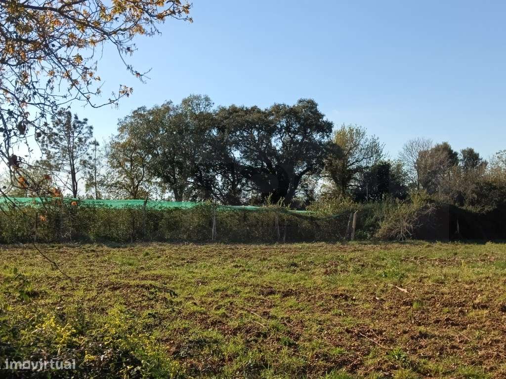 TERRENO RUSTICO - SOBREIRO - Grande imagem: 3/8