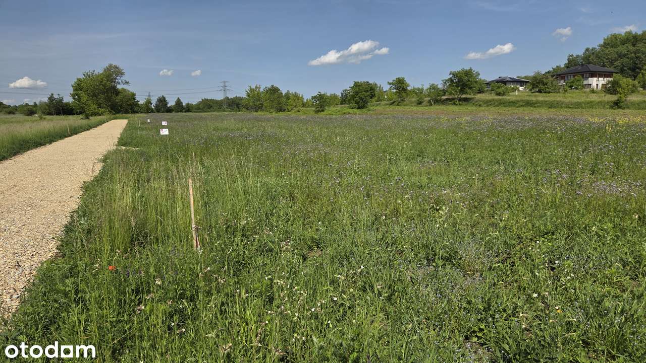 5x działek budowlanych 20m x 28m  - Nowa Lokalizacja - Tylko Nowe Domy-5