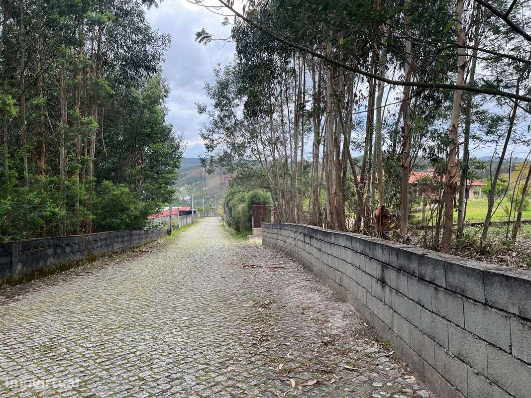 Terreno  para venda - Grande imagem: 5/5