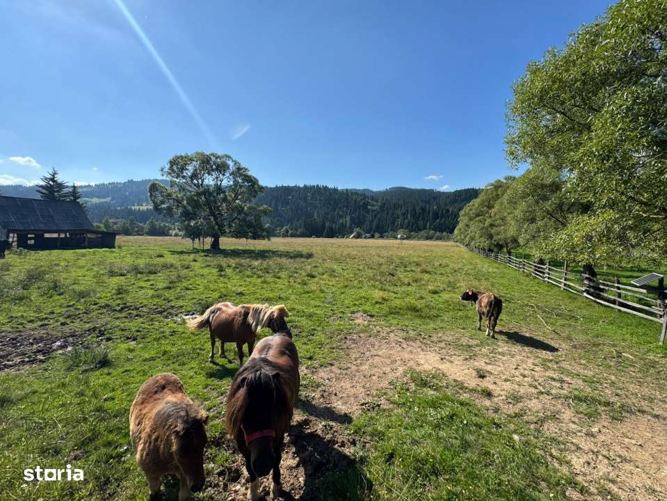 Vanzare 33400 parcelat- 18 loturi - Plaiul Sarului la sosea- microdezv-13